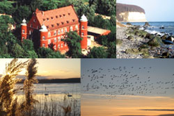 Seminar: Kommunikationstraining auf R&uuml;gen